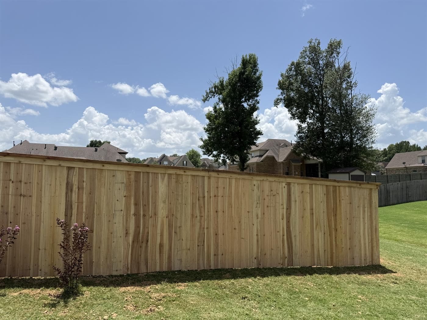 Choosing the Right Fence for Your Memphis Backyard